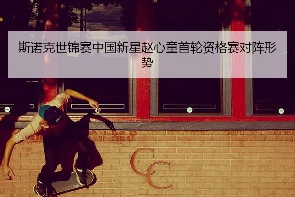 si-nuo-ke-shi-jin-sai-zhong-guo-xin-xing-zhao-xin-tong-shou-lun-zi-ge-sai-dui-zhen-xing-shi-2-109.jpg